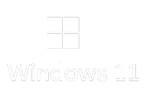 Windows 11